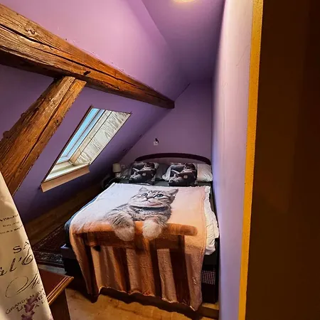 Sumava U Kocicek Apartment Strasice (South Bohemian)